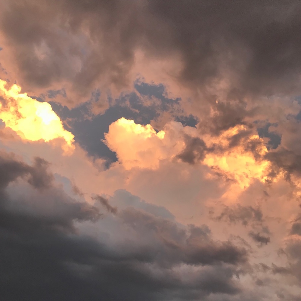 Meet your Posher, S.C.